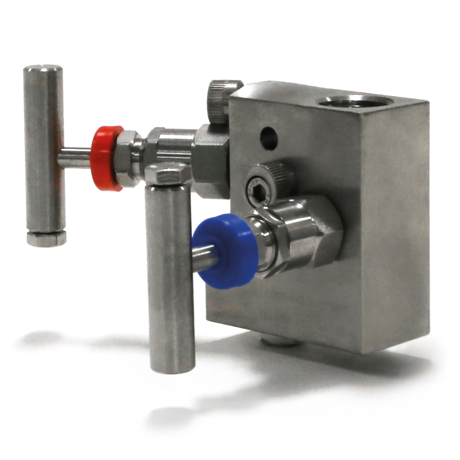 U2VR Series Needle Manifold Valve (RTG)